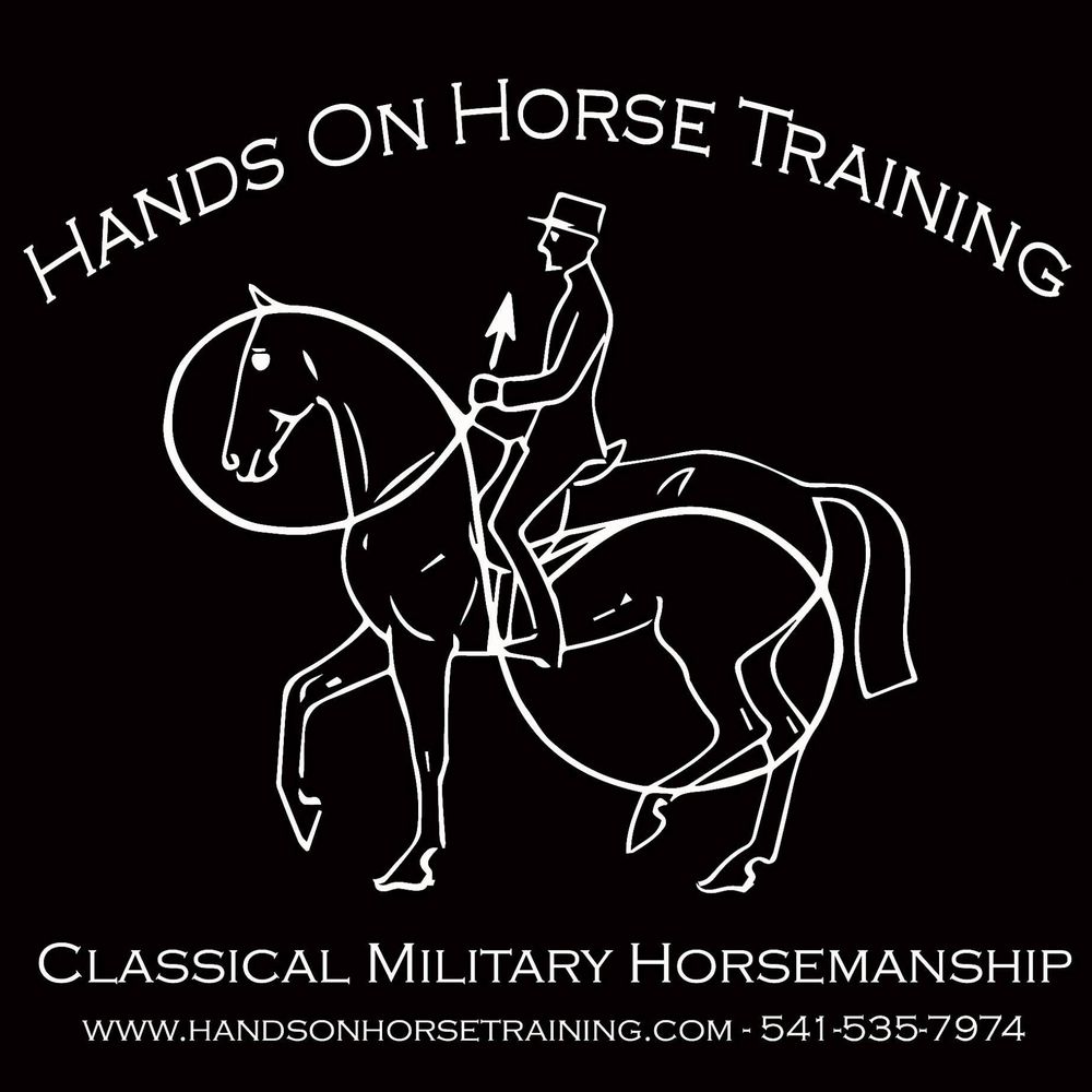 Hands On Horse Training