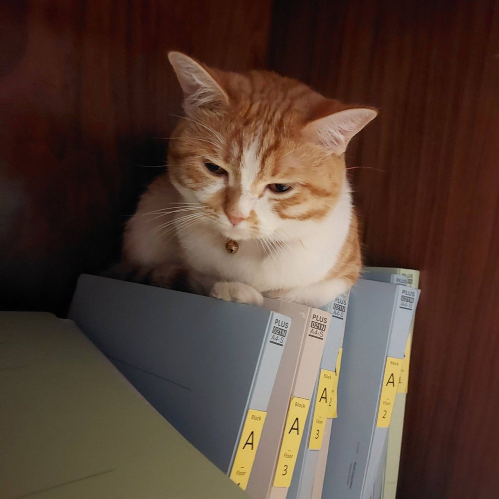 kaoru's #1 pr manager