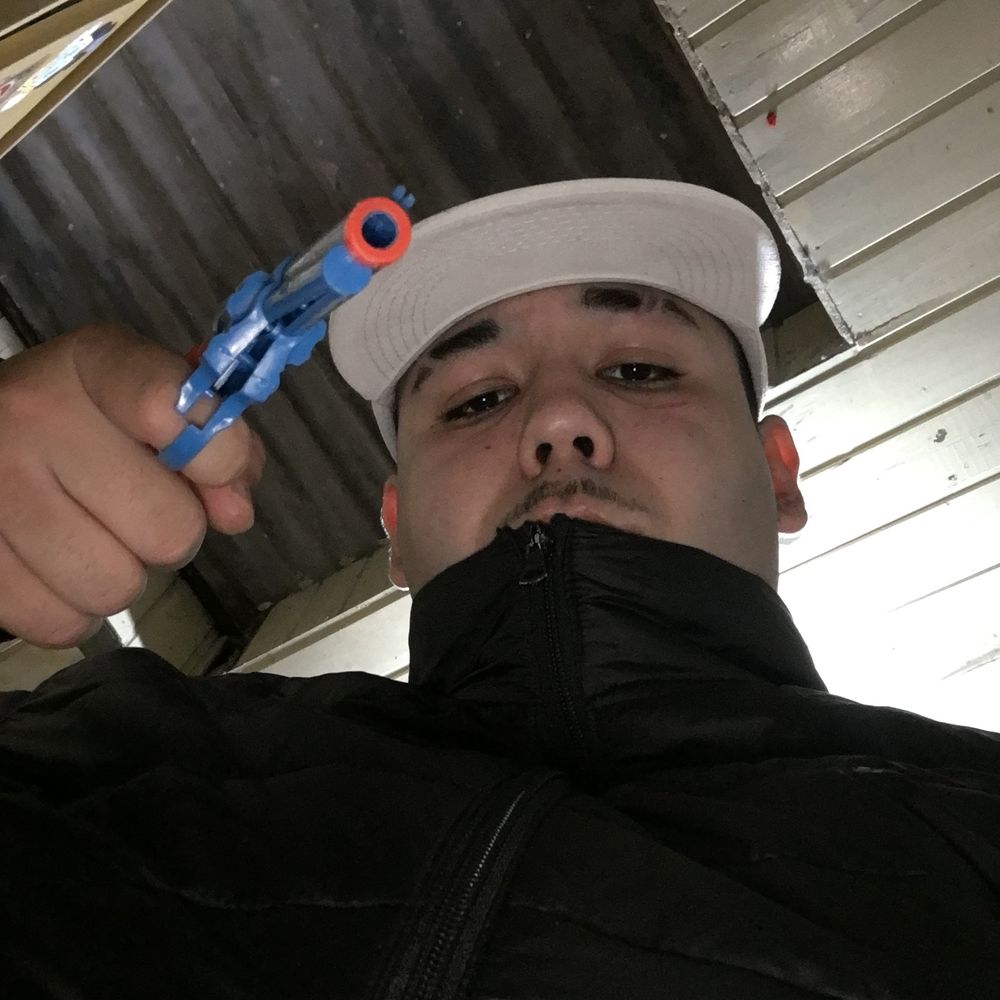 Tubarão