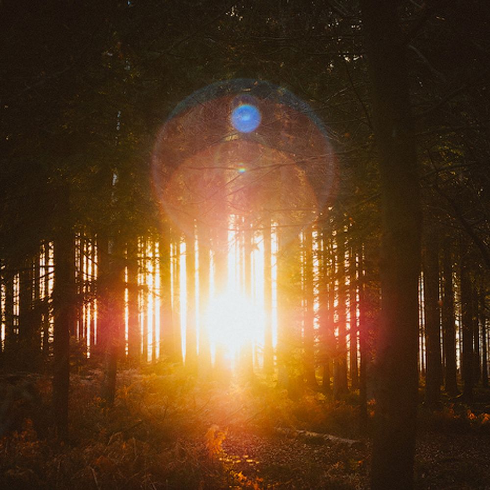 lichtschreiberin.bsky.social