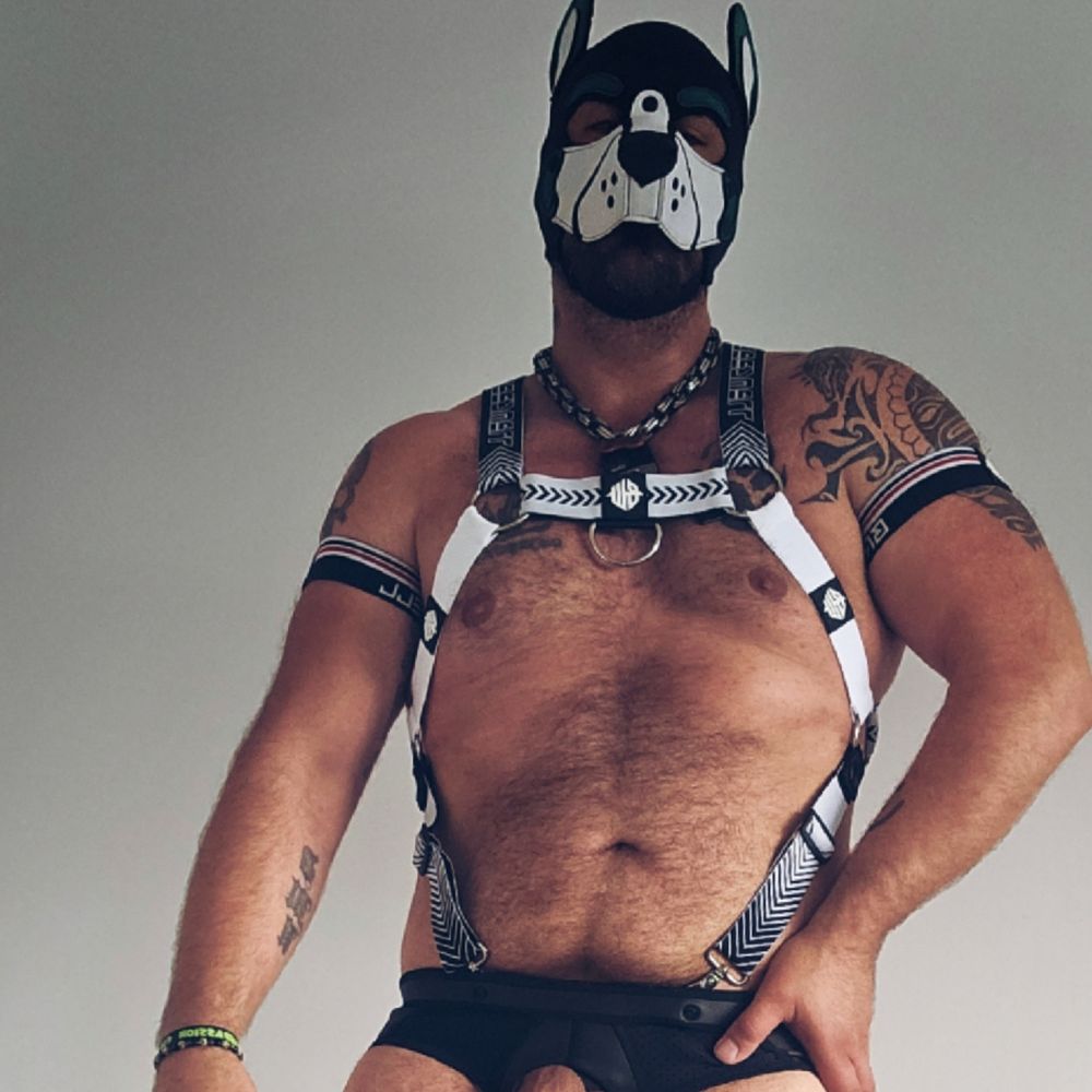 Pup Flaks