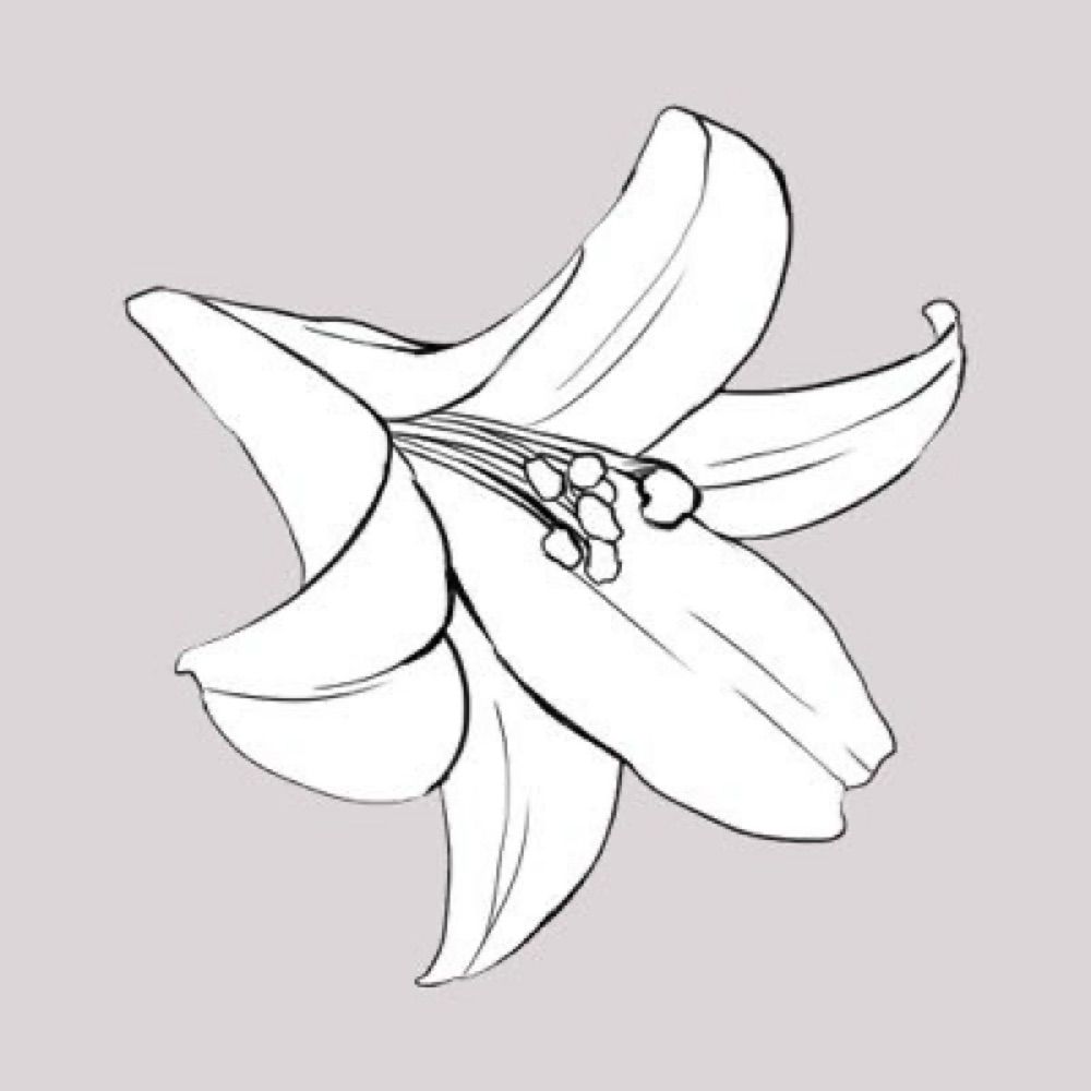 ゆり(仮)