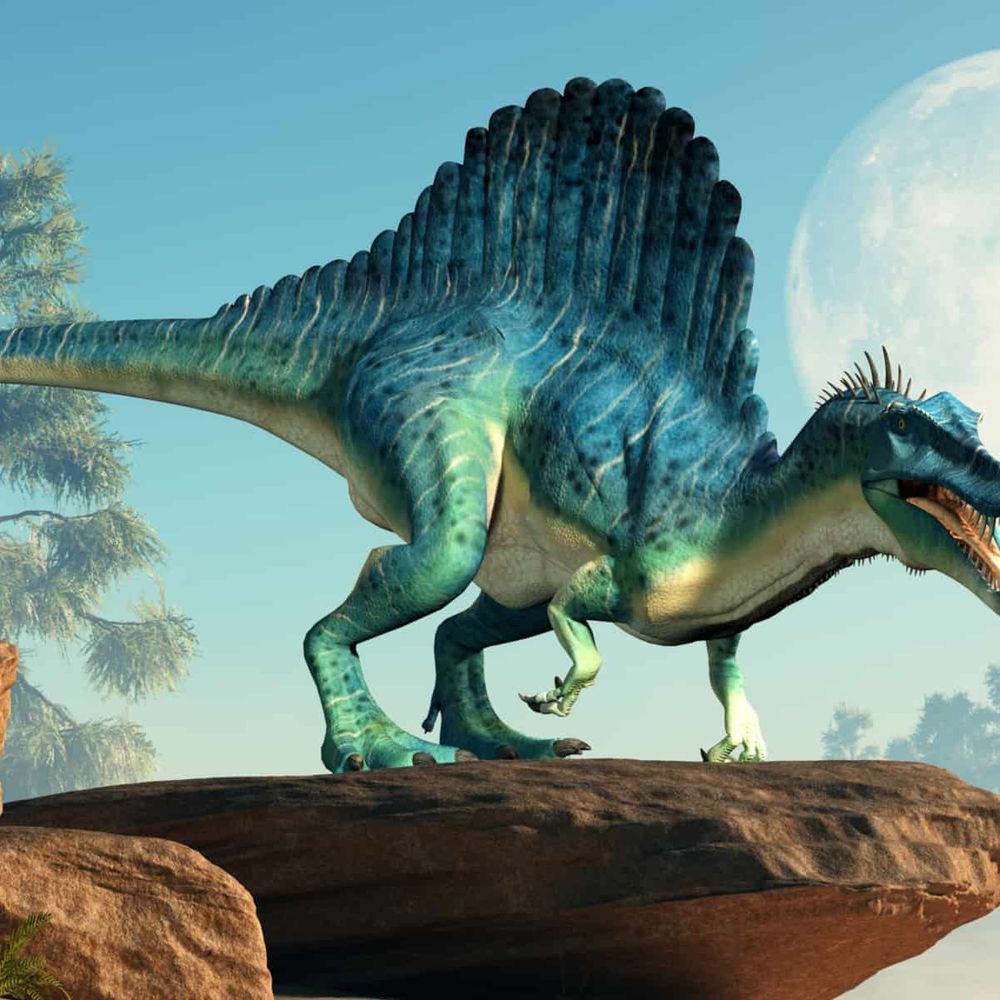 Calder-O-Saurus rex