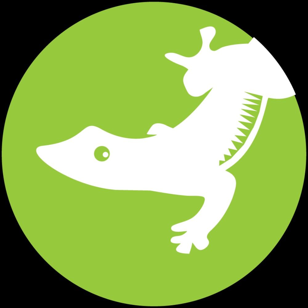 Gecko Press