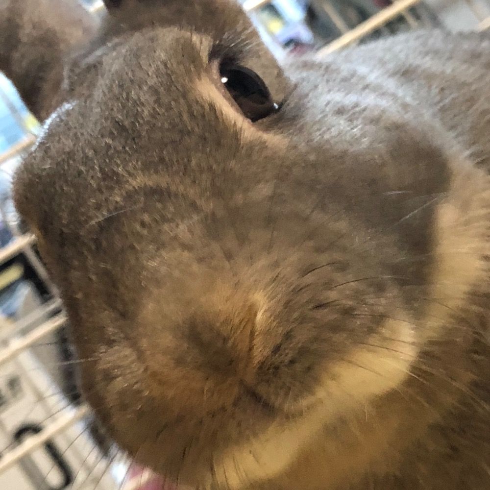 いちきり
