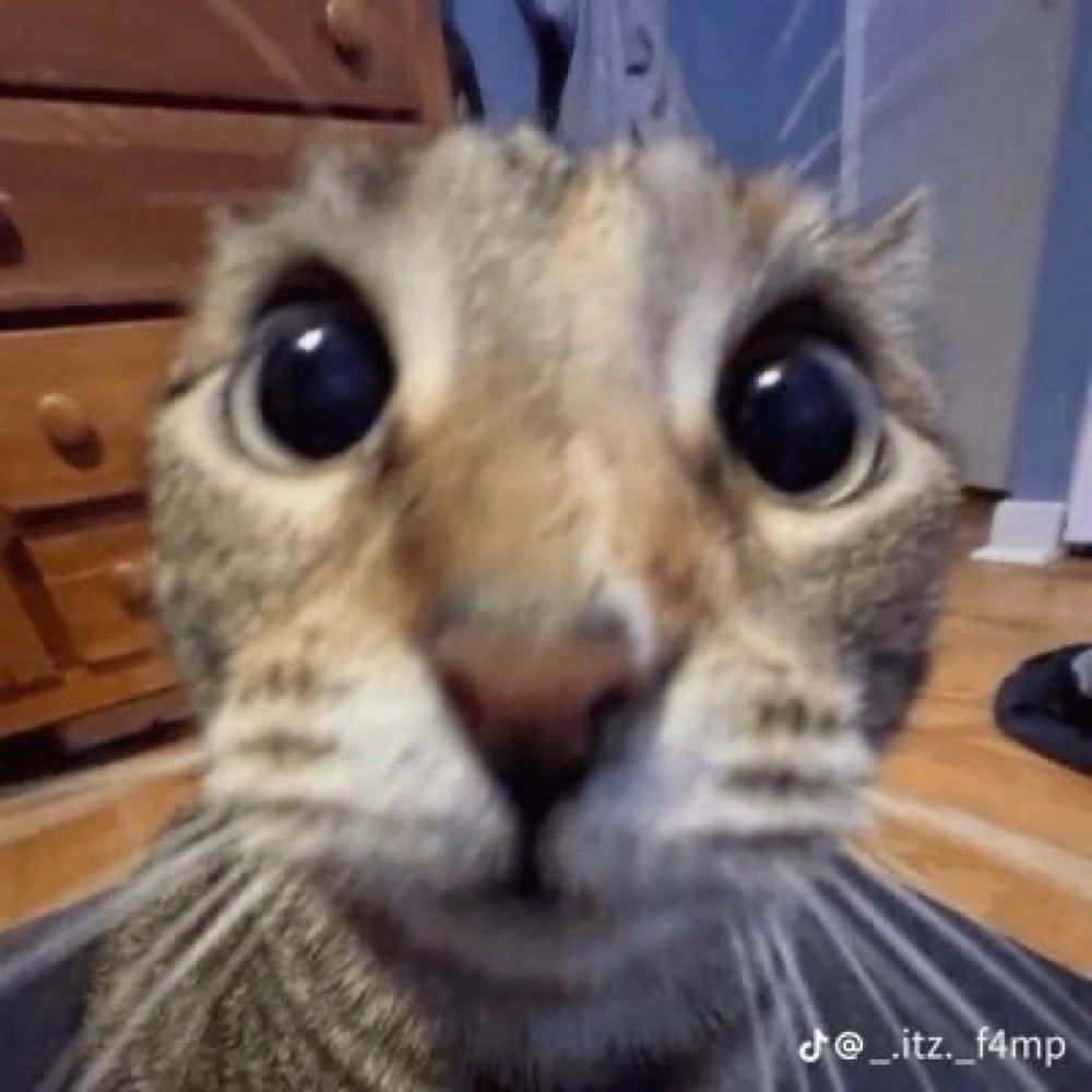 le