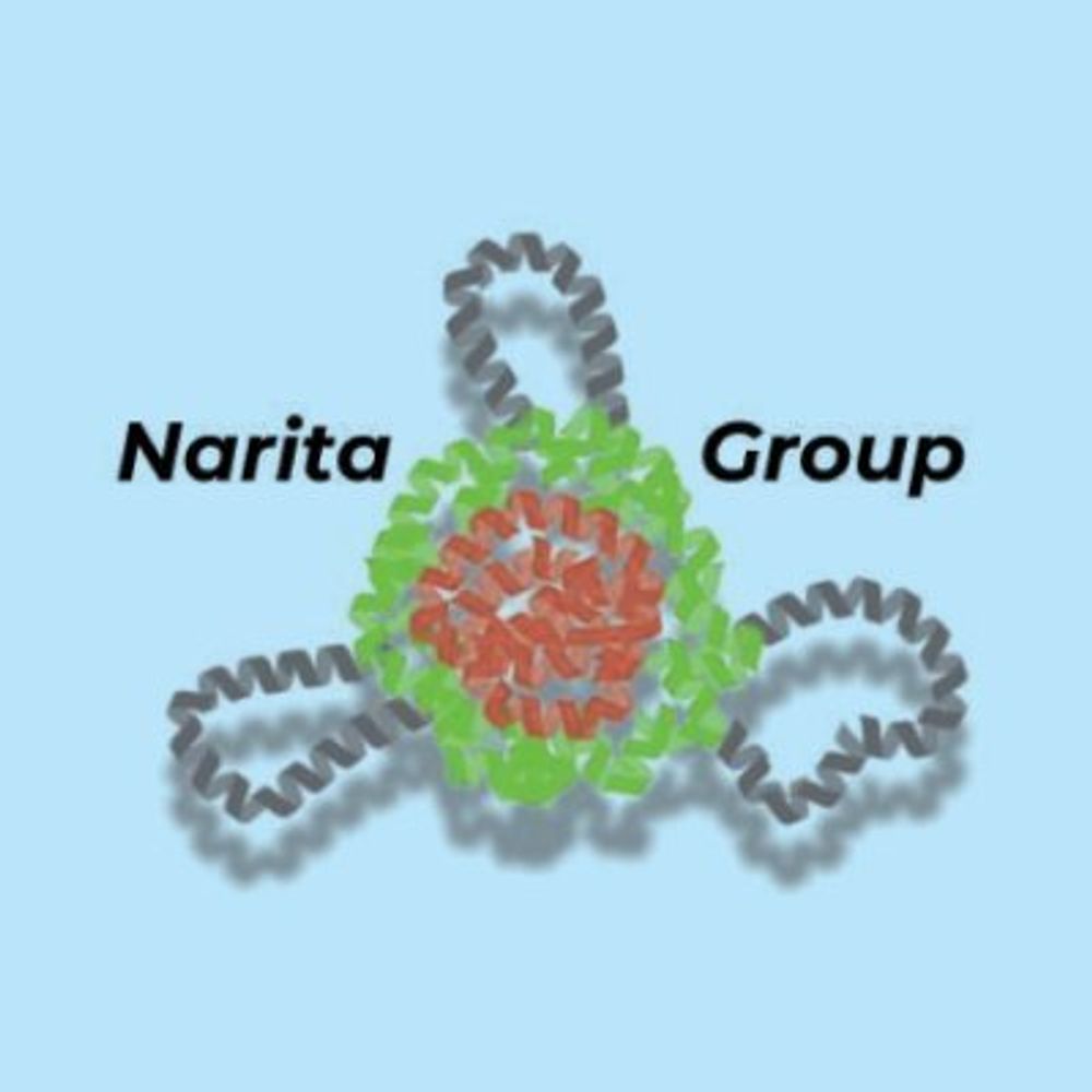 Narita Lab