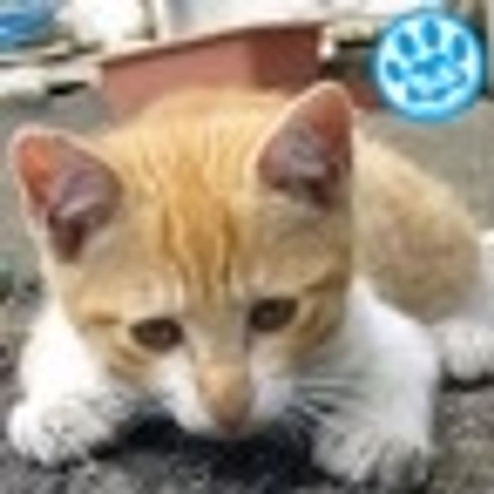 あきらさんがきました。