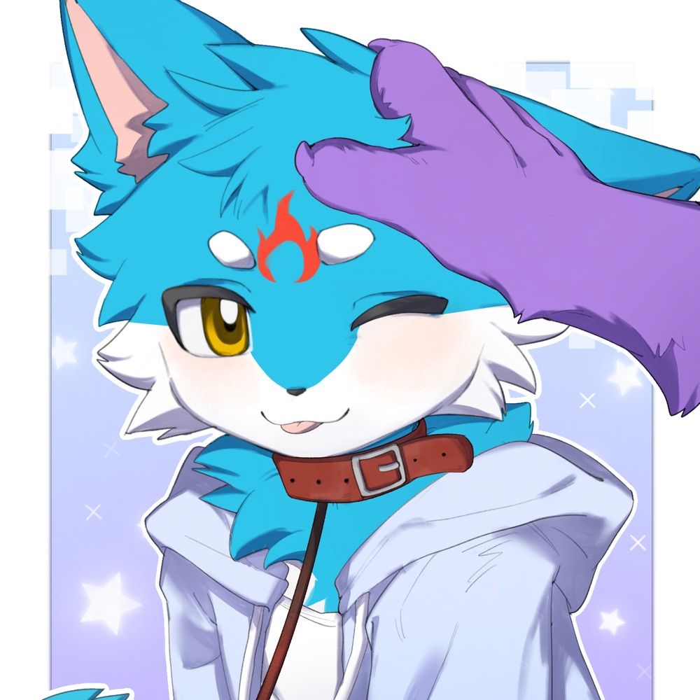 泽宸