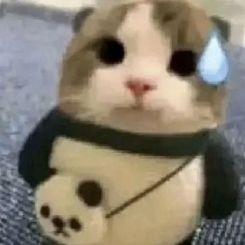 Qordan