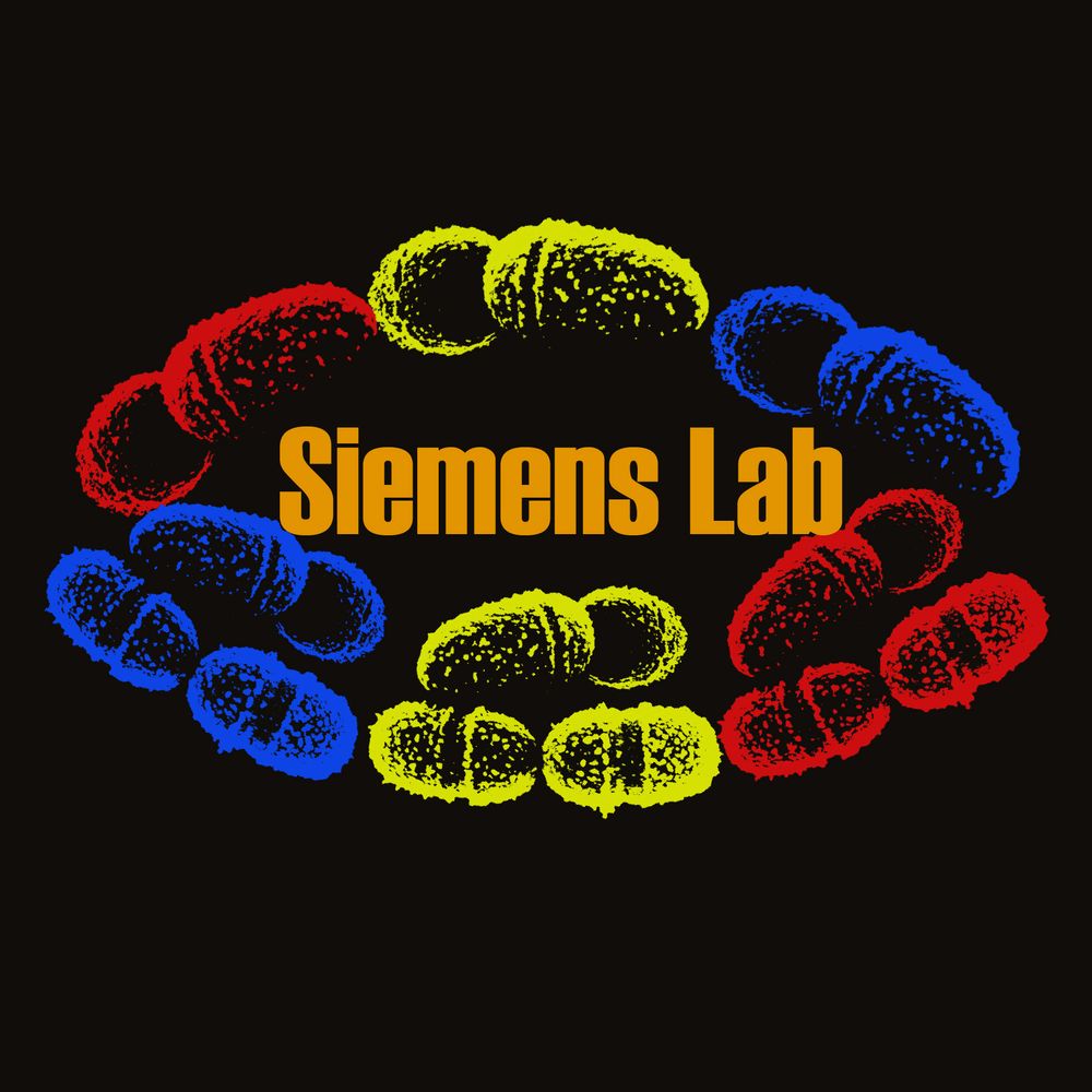 SiemensLab