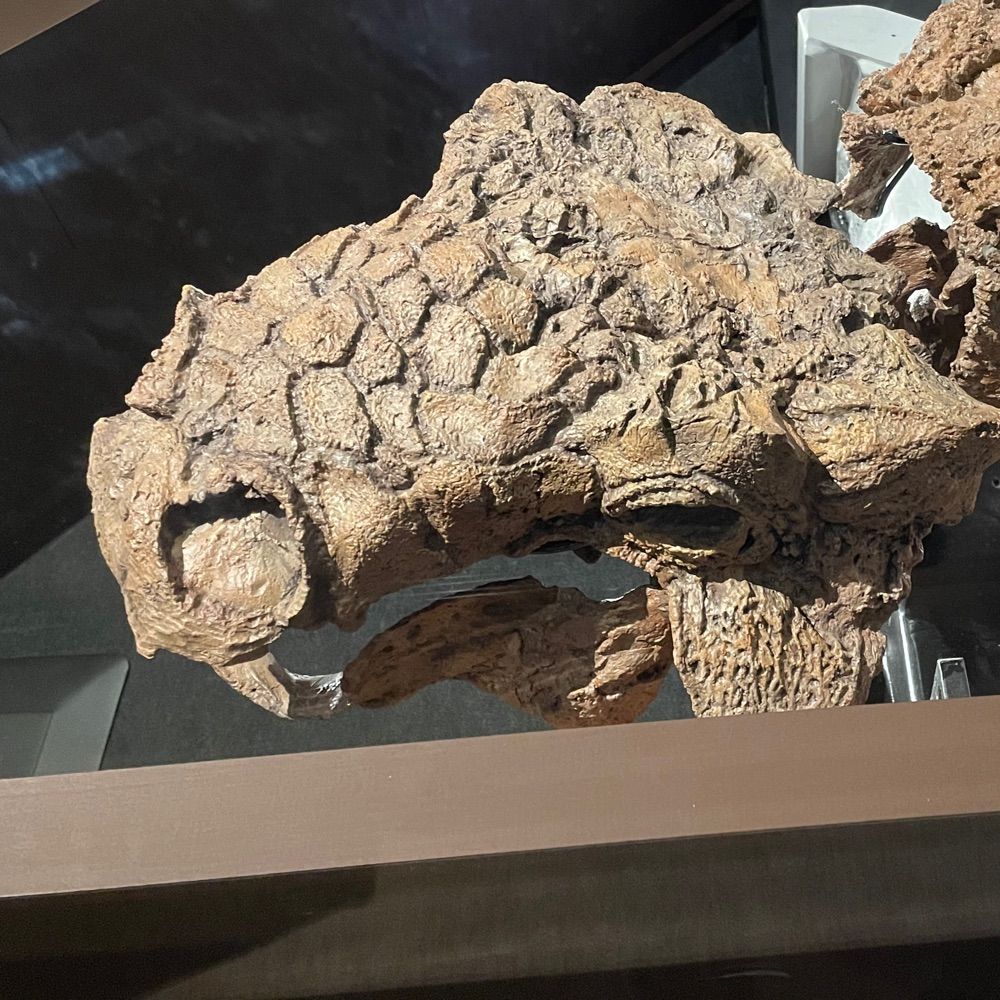 シノハラユウキ