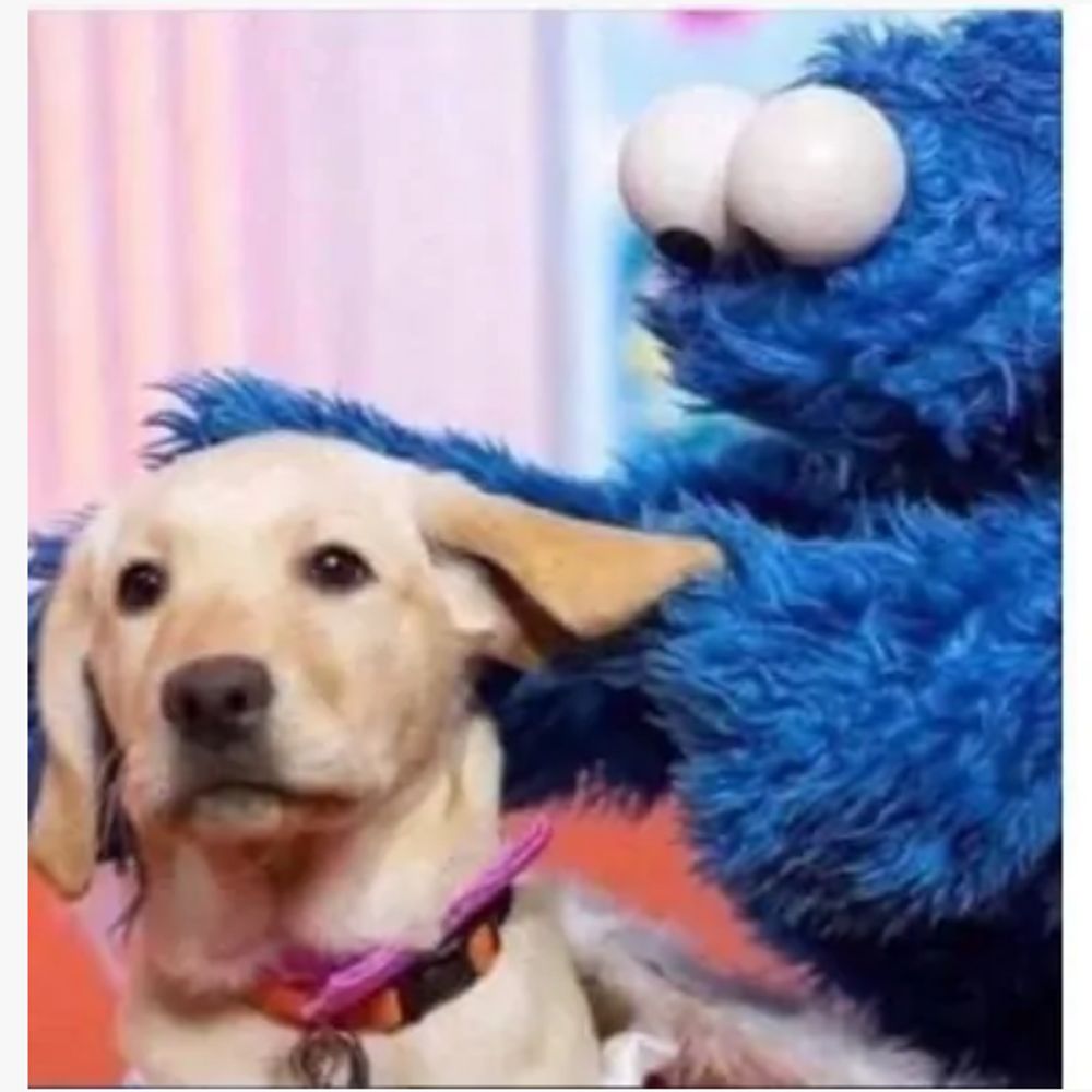 Cookie Lover