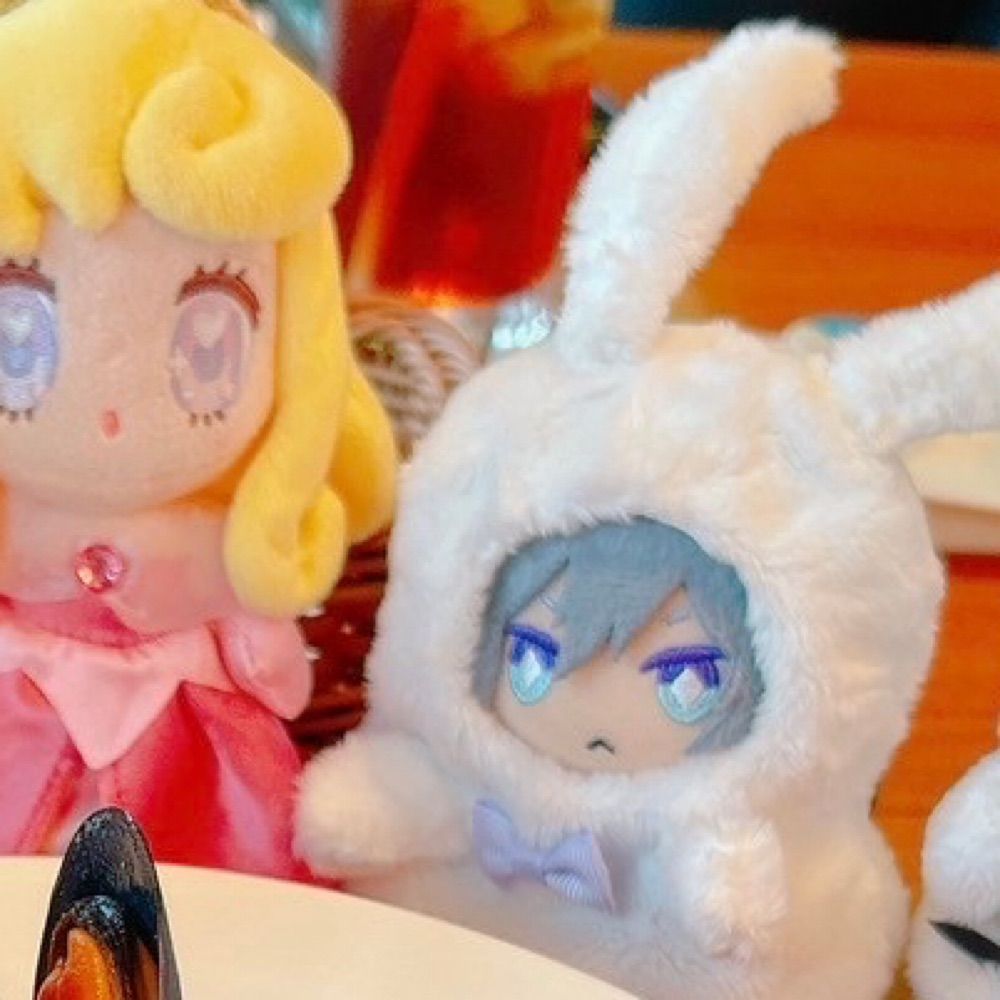 ぬいぐるみ愛で人