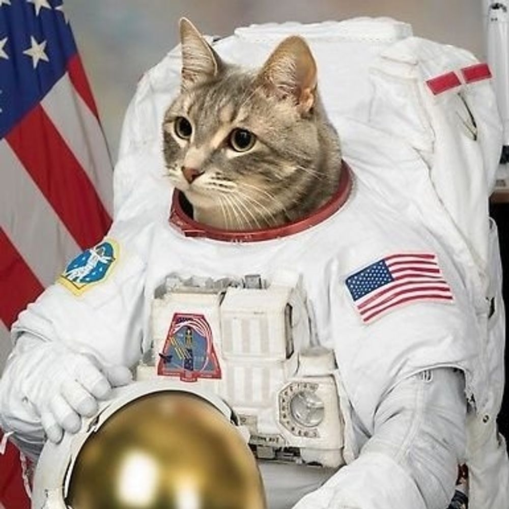 El Gato Astronomico's avatar
