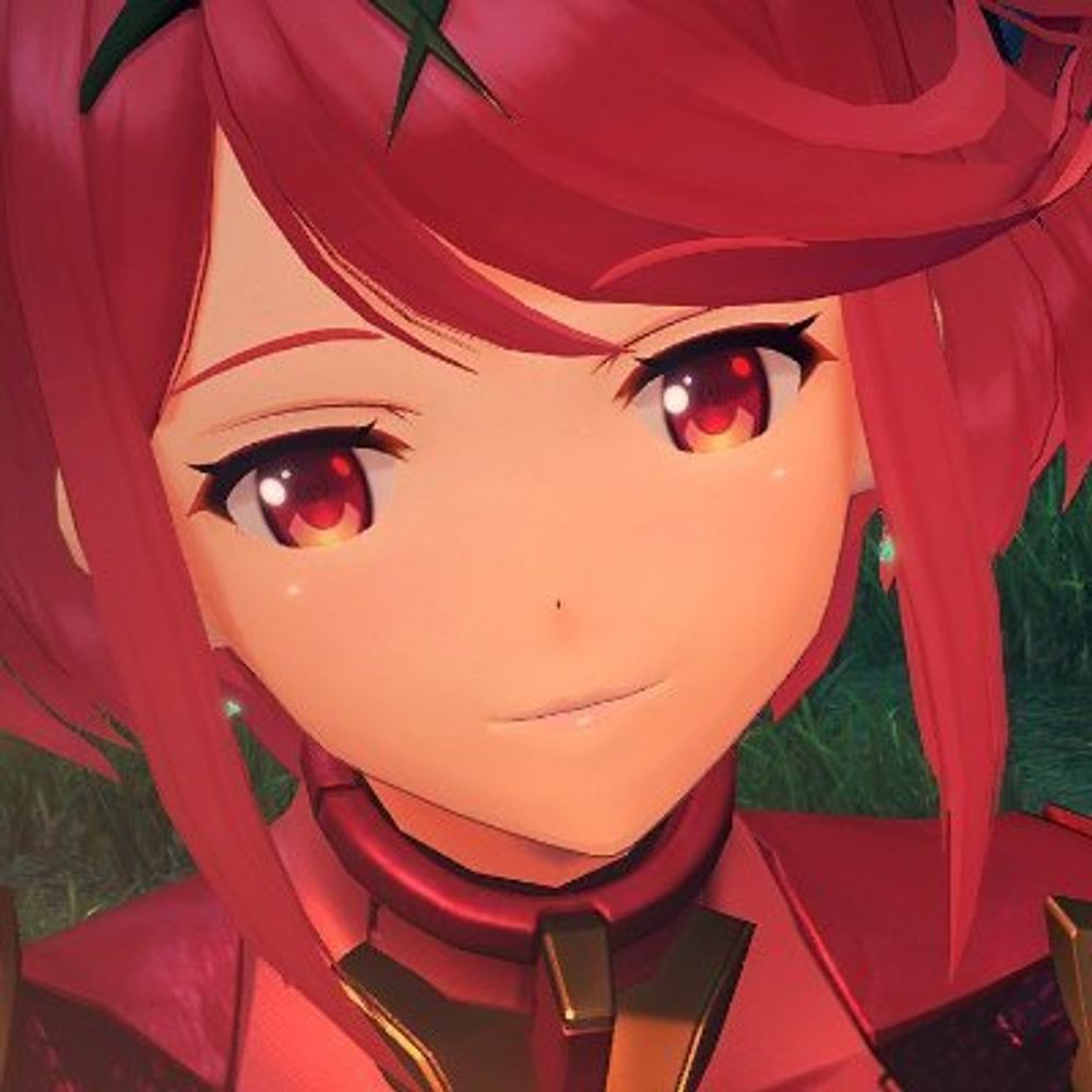 Pyra and Mythra Propaganda