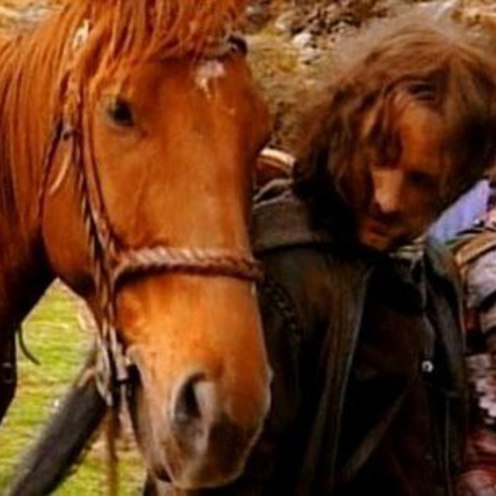 arthur 🛡️ advitams