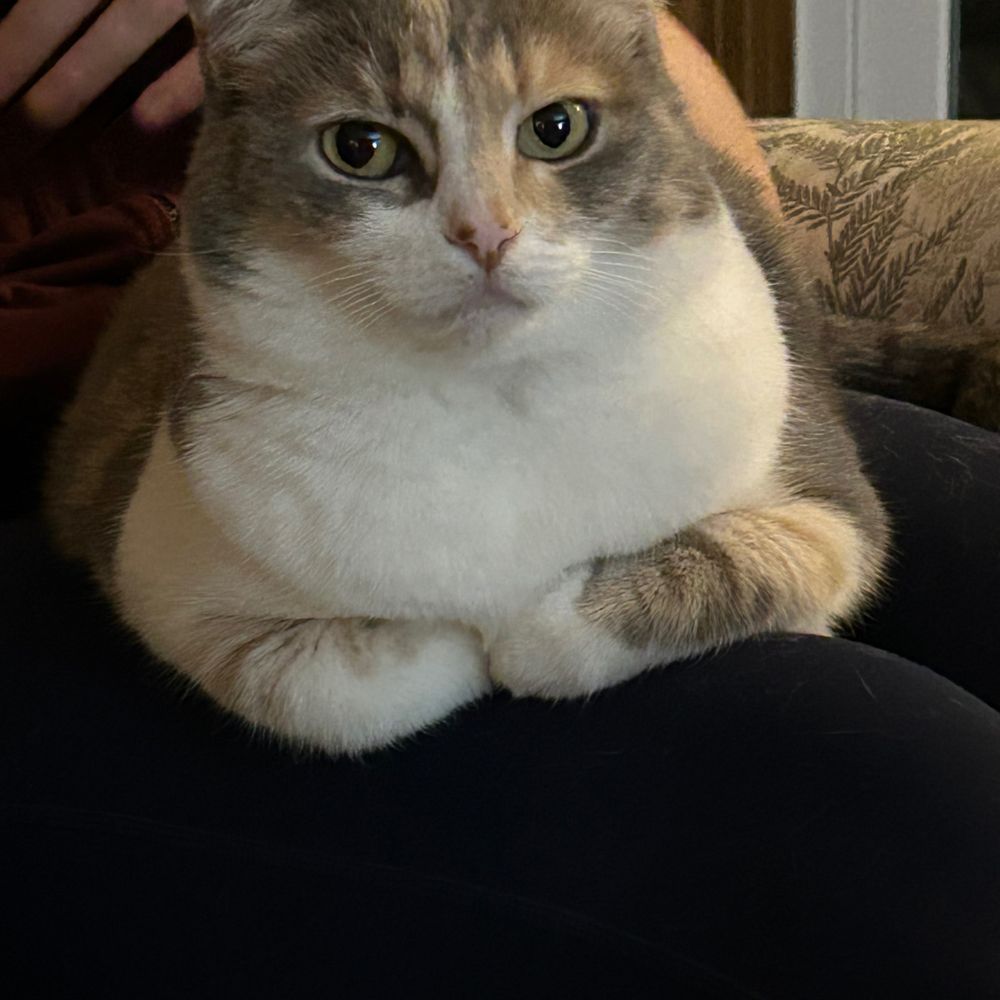 Samantha