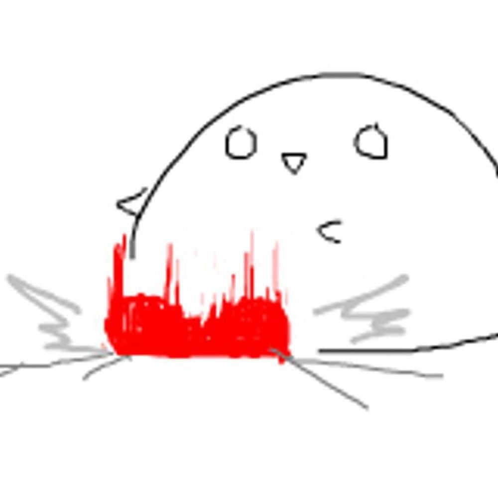 ロトト黒