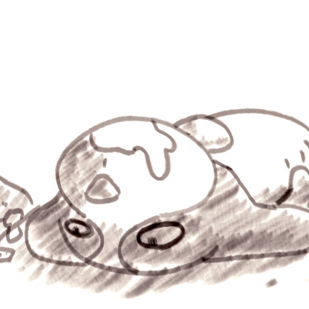 むにお・いぬぬわん