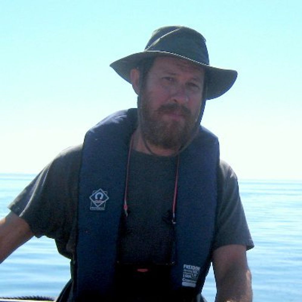 Andy Collins