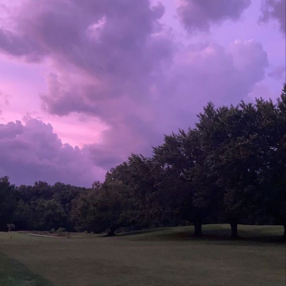彡★ 𝓑𝓵𝓾𝓻𝔂 ★彡