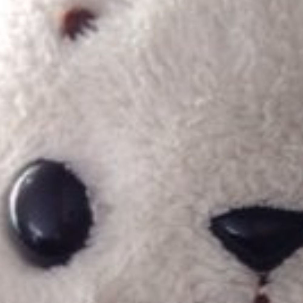 あざらし