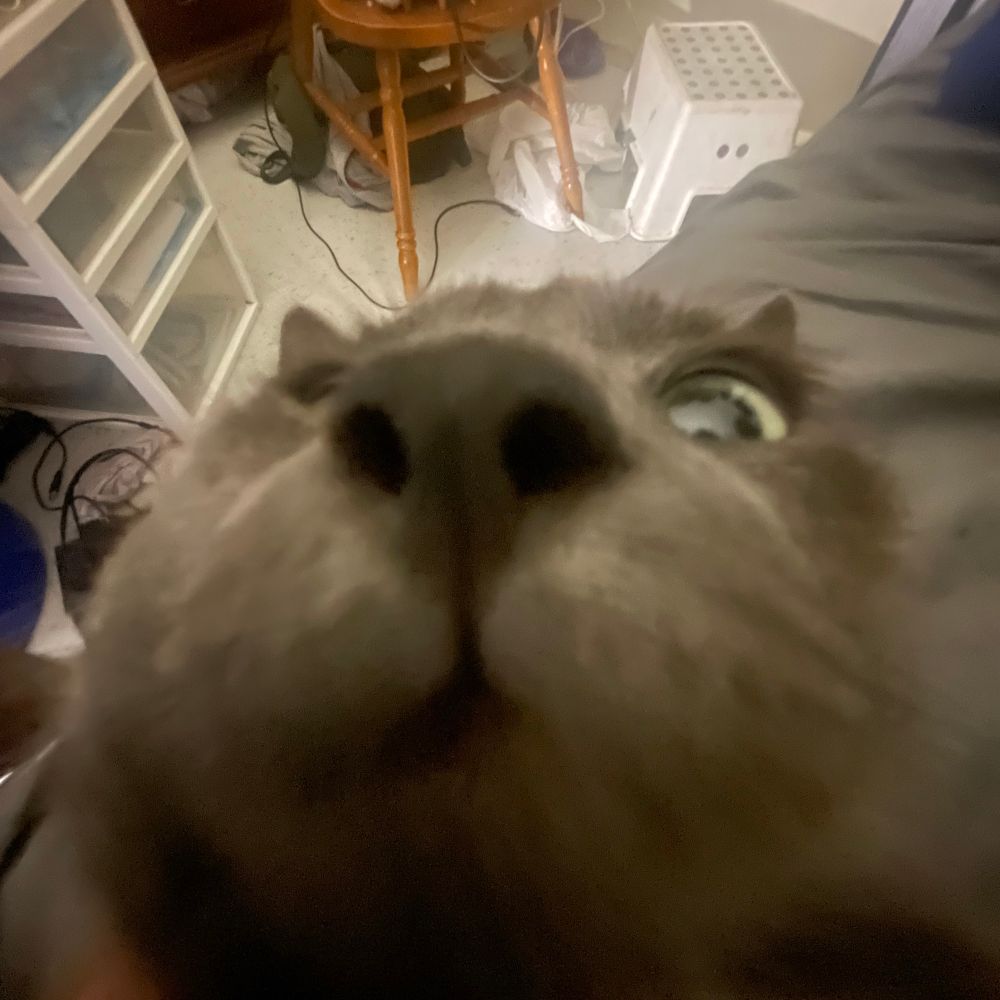 FluxGs