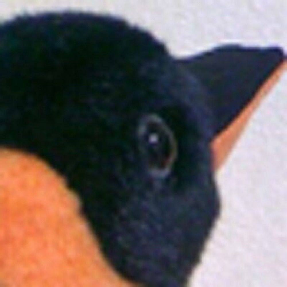 ひろか