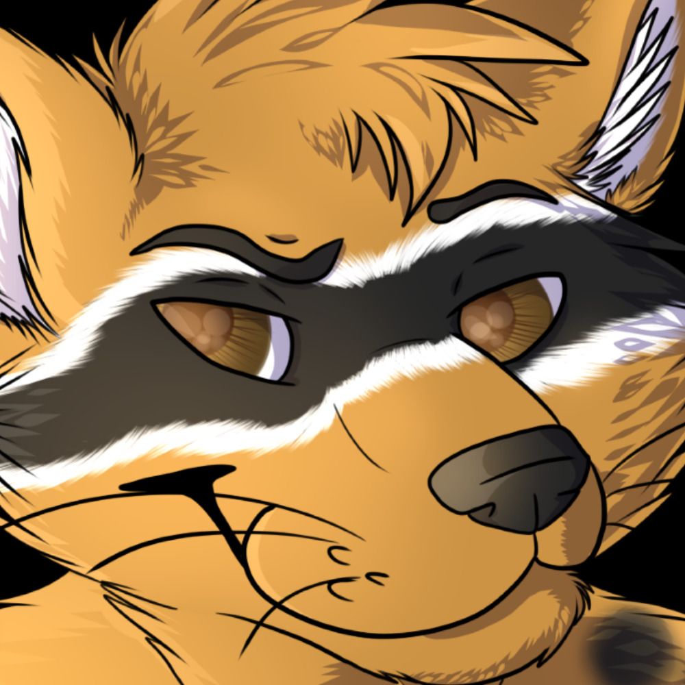 Mix-and-Match Feline Raccoon Thingy's avatar