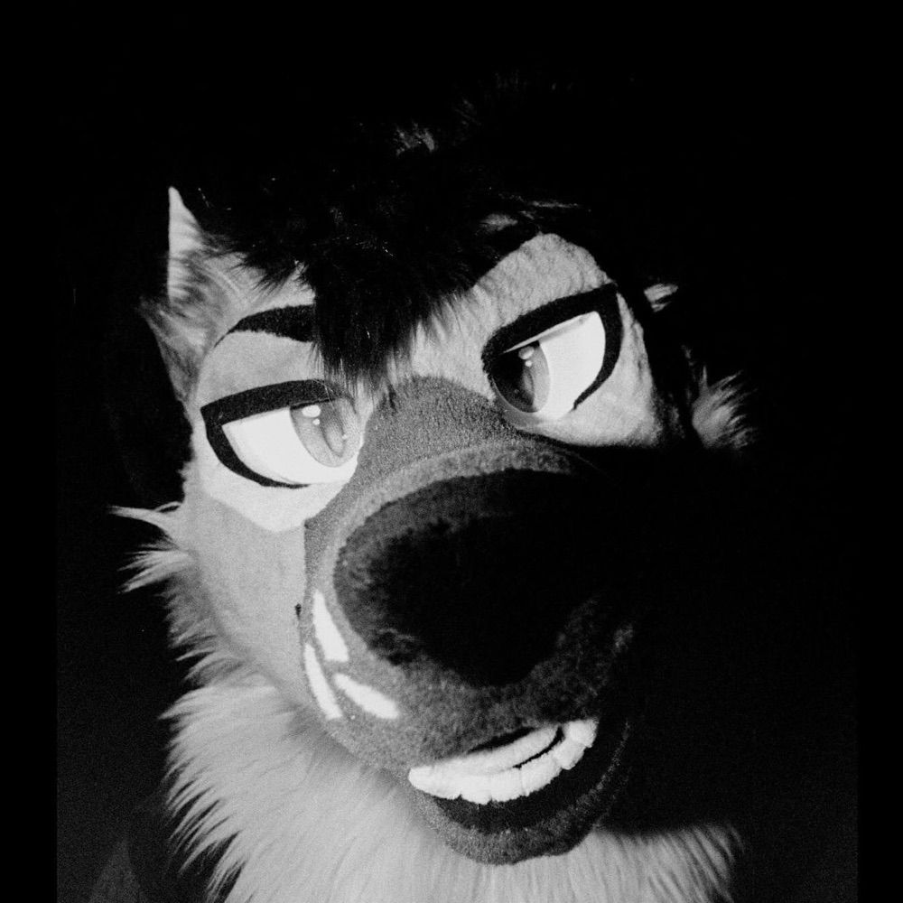 SiegeShep
