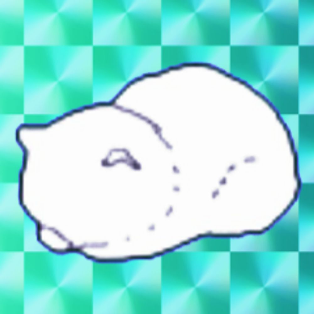 ¿¿¿¿