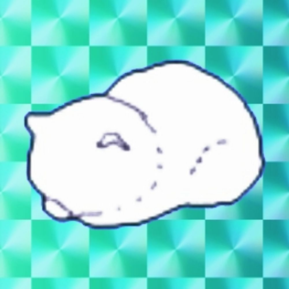 ¿¿¿¿