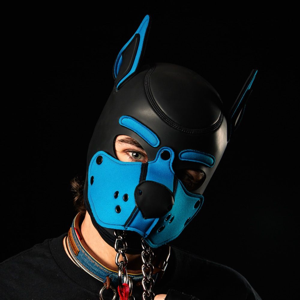 Pup Rayne AD