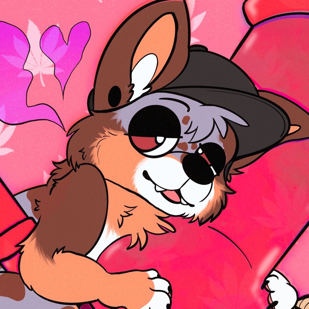 idiot boy 🔜 FWA, AC