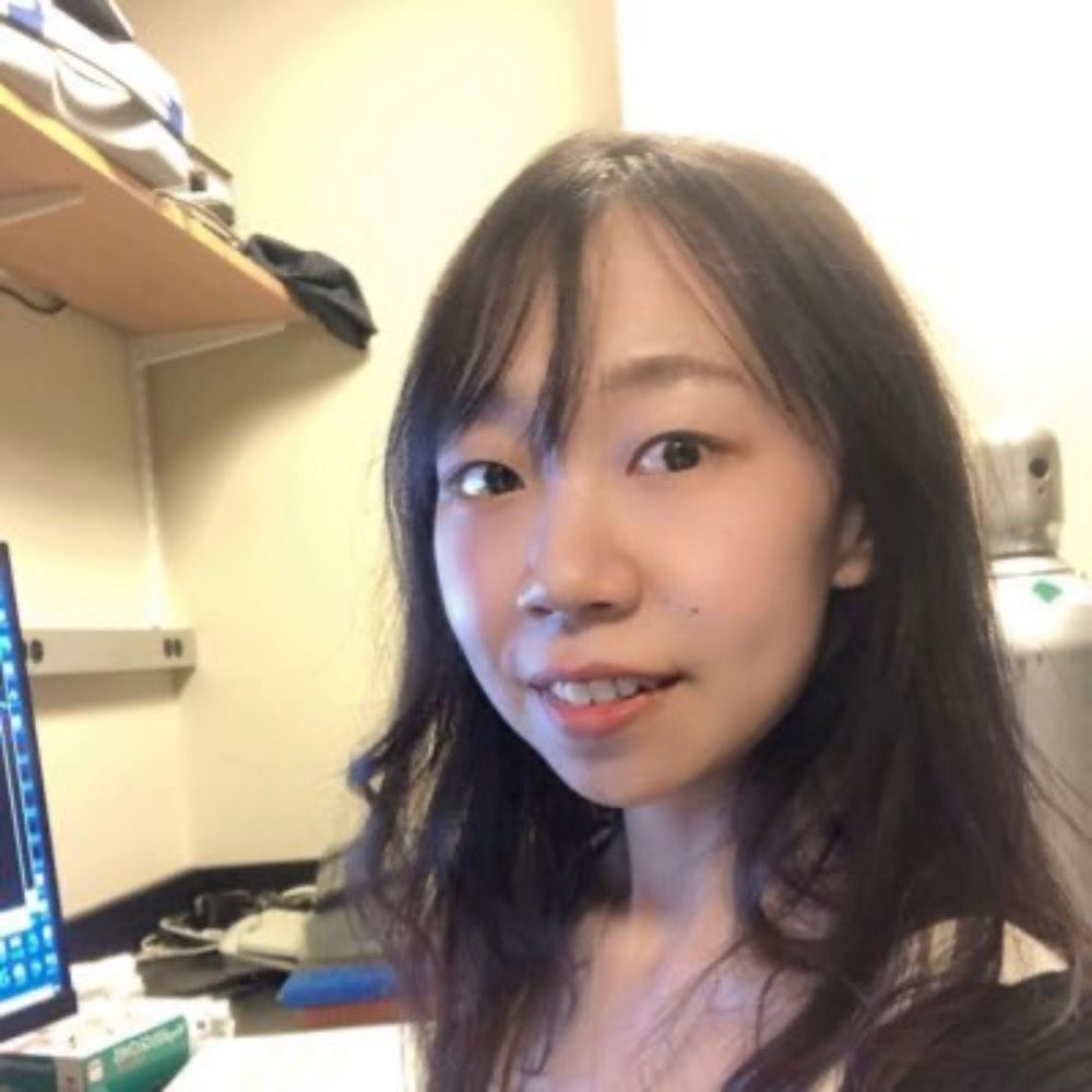 Meng Zhu