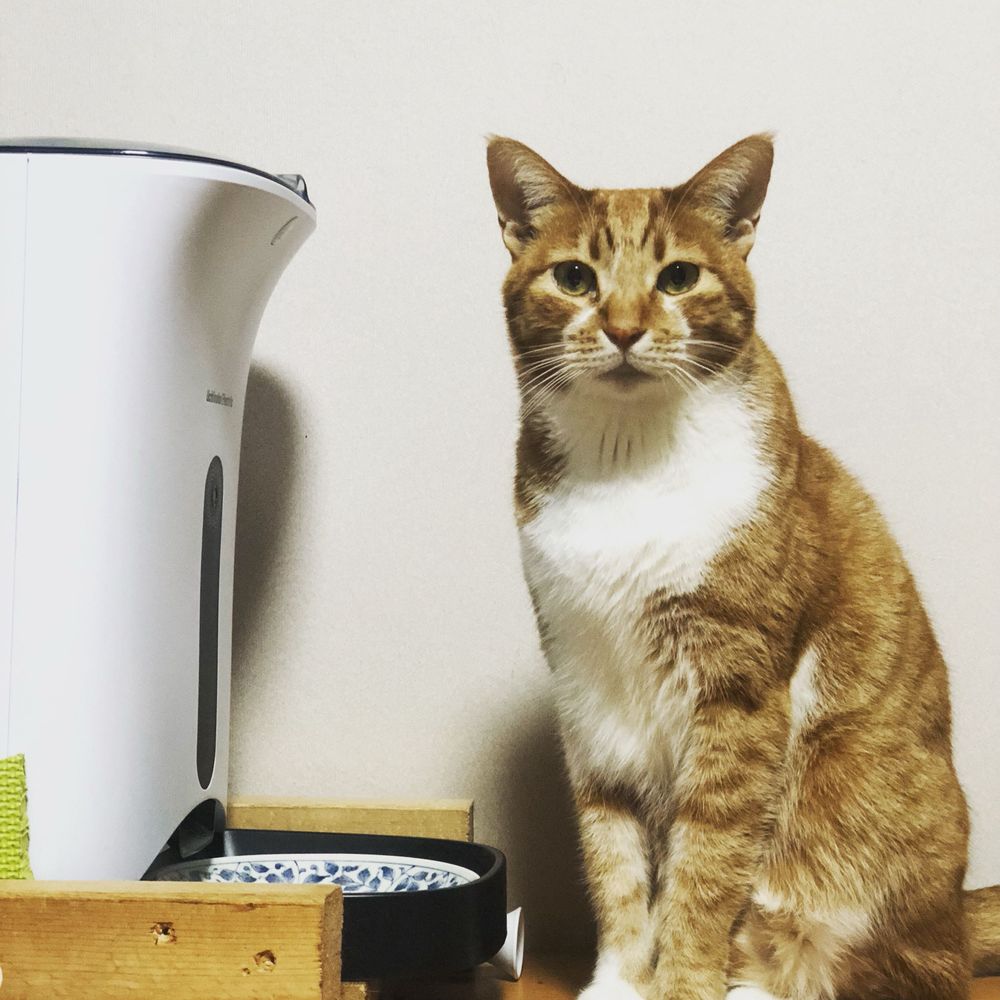 ふぅ