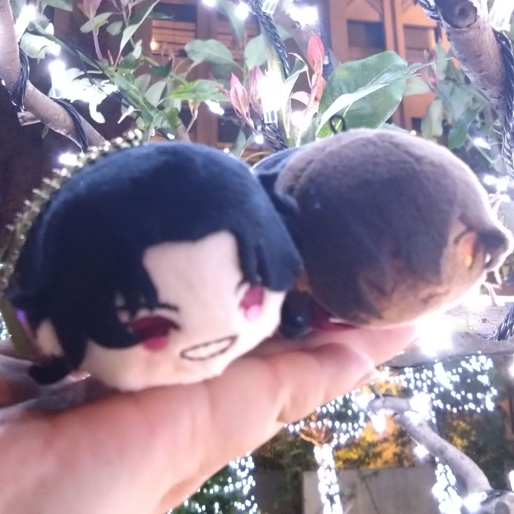 かむ🍎