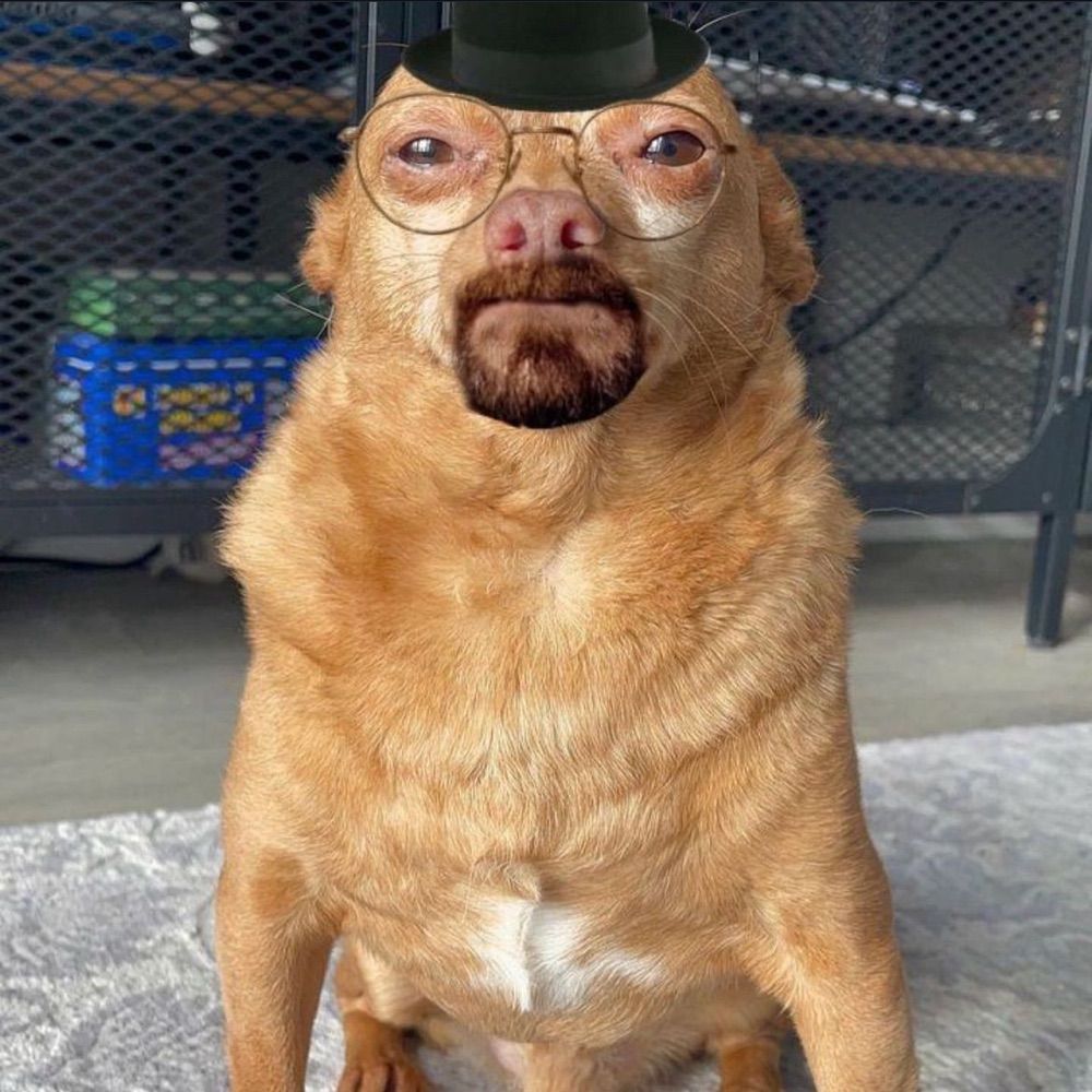 juninho ruindade pura 