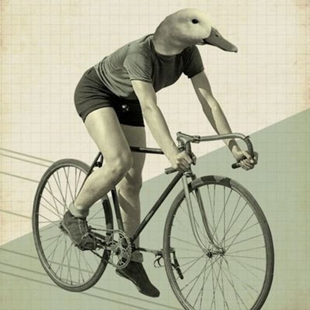 Biggus Duckus