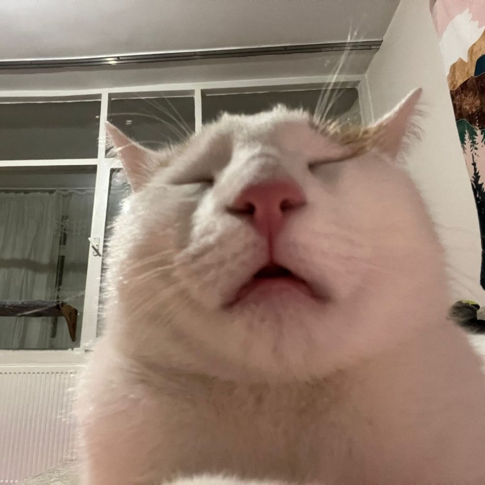 Civcik