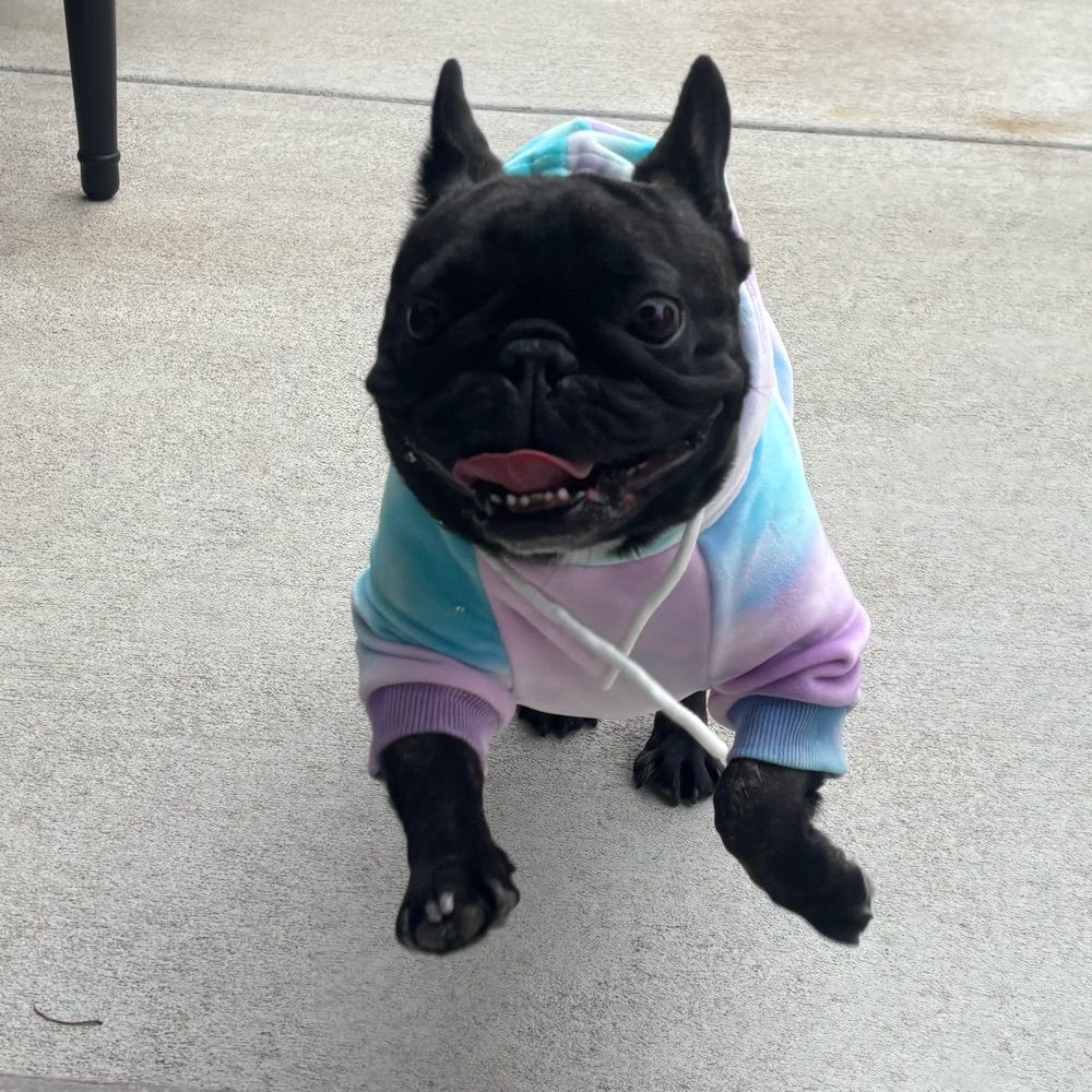 KIKI🎀🌟