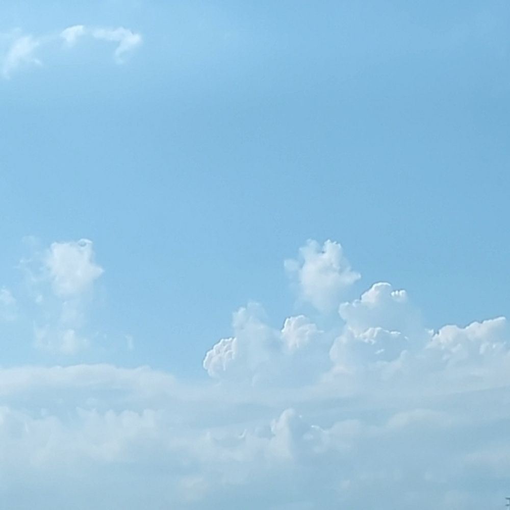 𝚠𝚊𝚜𝚊𝚋𝚒