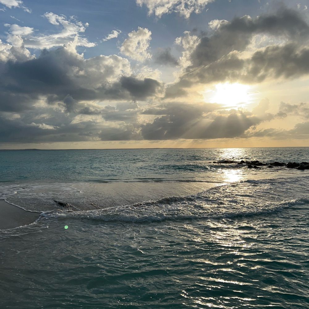 Swimmom🇺🇸🇨🇦🇺🇦