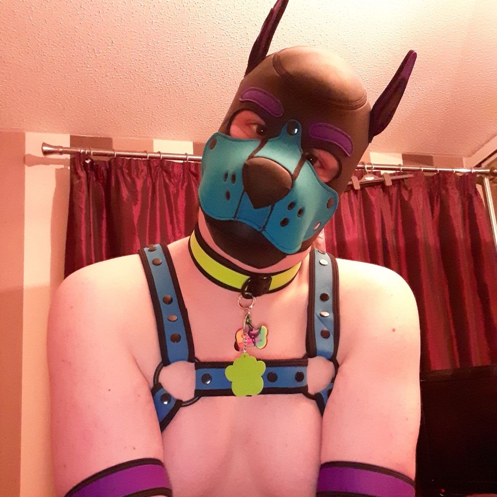 Pup Mixx