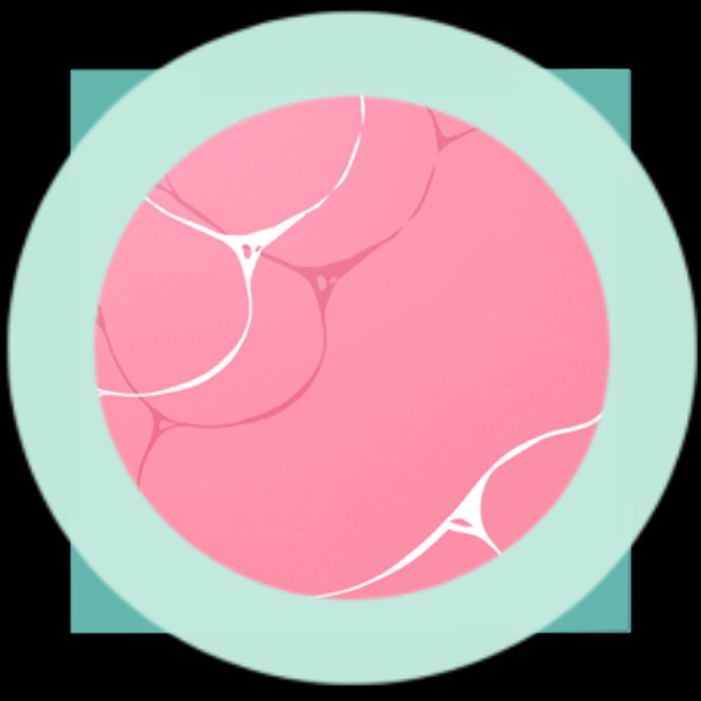 =SuoNova='s avatar