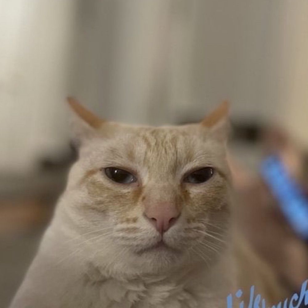 Keeksa