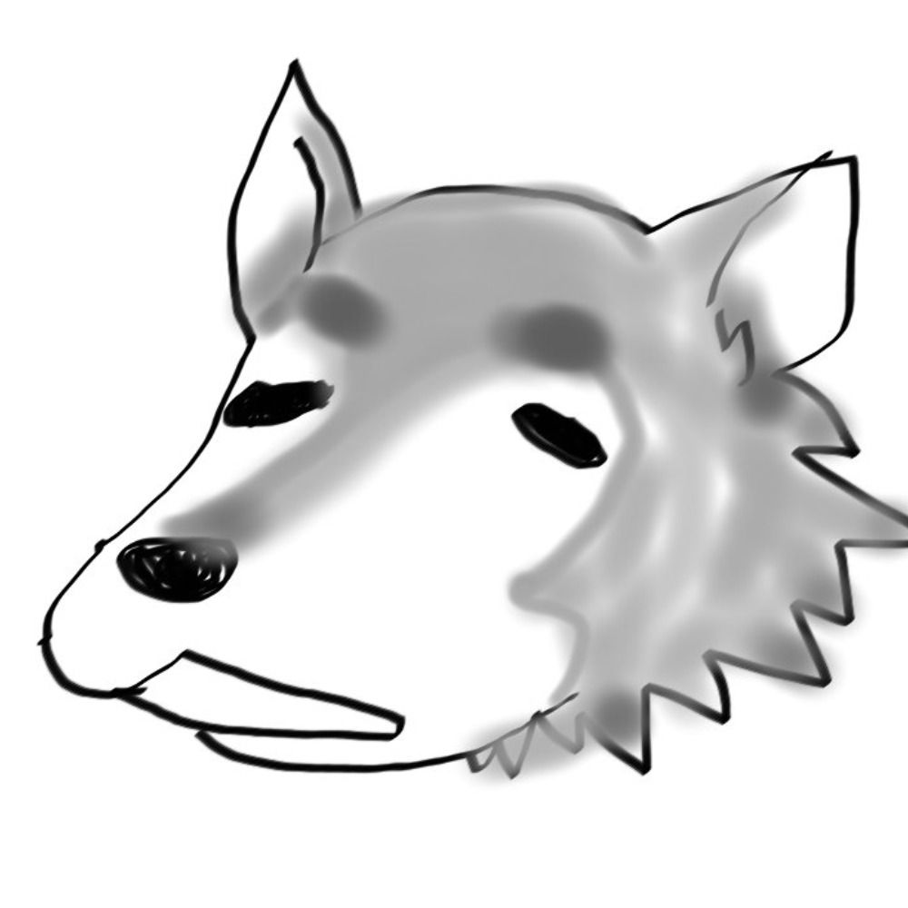 Dr. Wolf