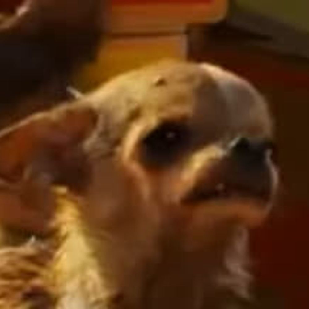 ッ
