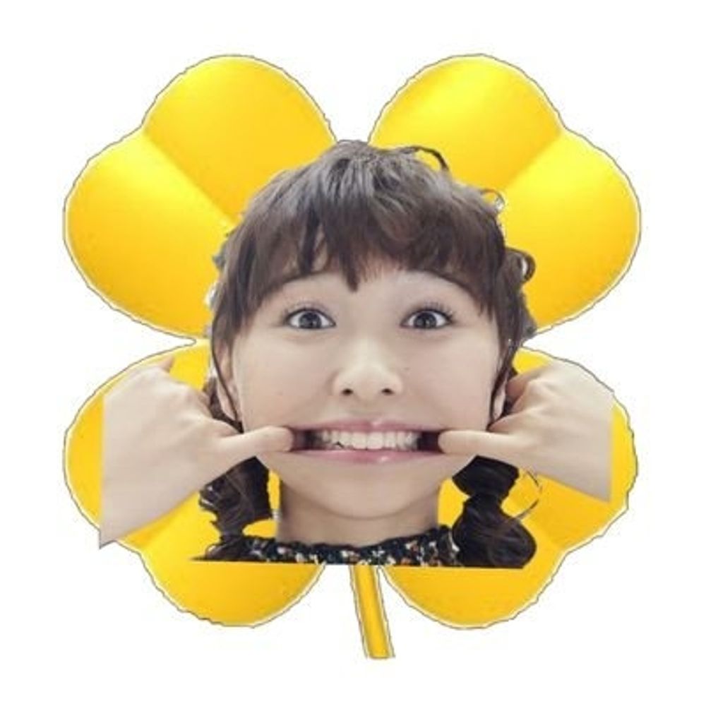 甲斐乃国